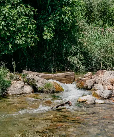 Río con pequeñas cascadas entre vegetación